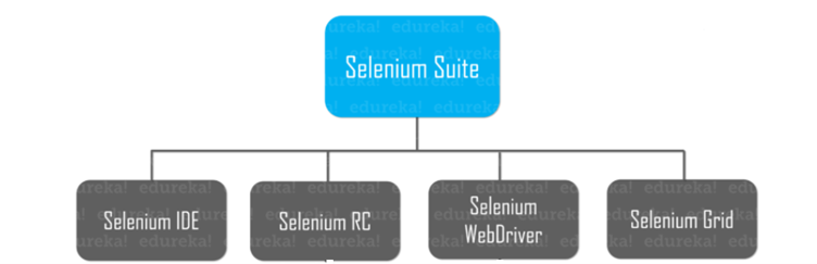 Composants - Selenium Framework